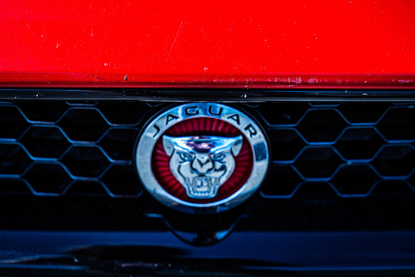 9431591