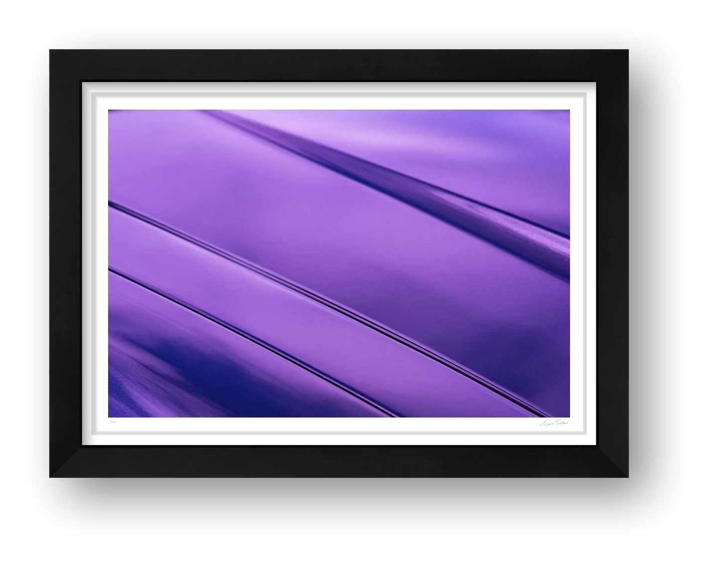 The Silk Cat — framed