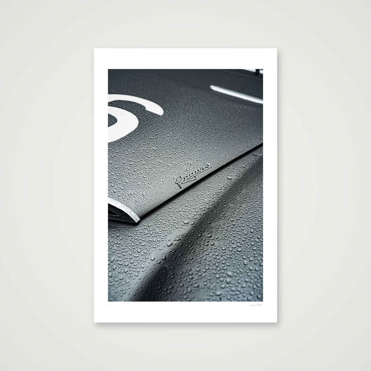 Dark Horse — 30×45cm, 12×18" Print only