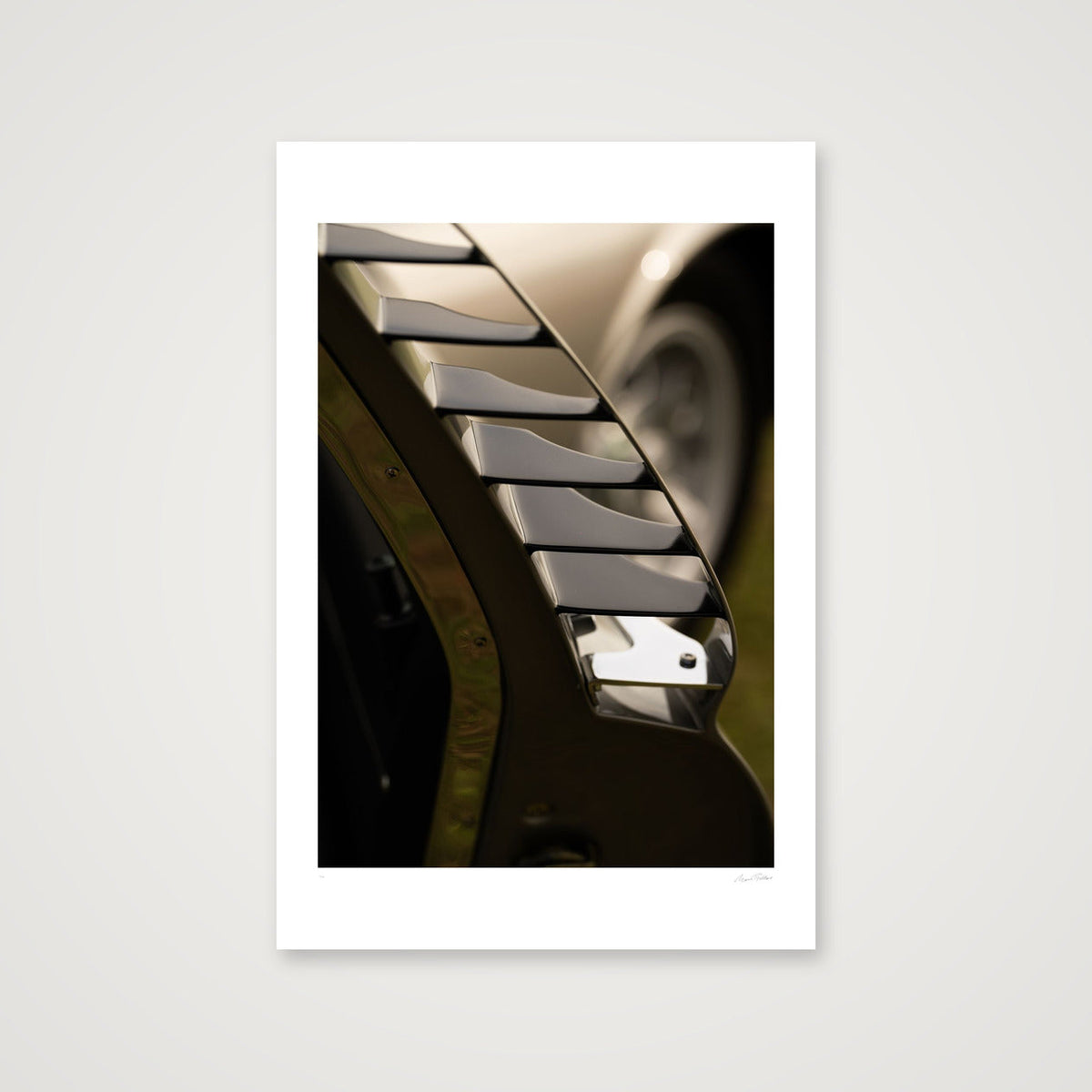 Chrome Gills — 30×45cm, 12×18" Print only