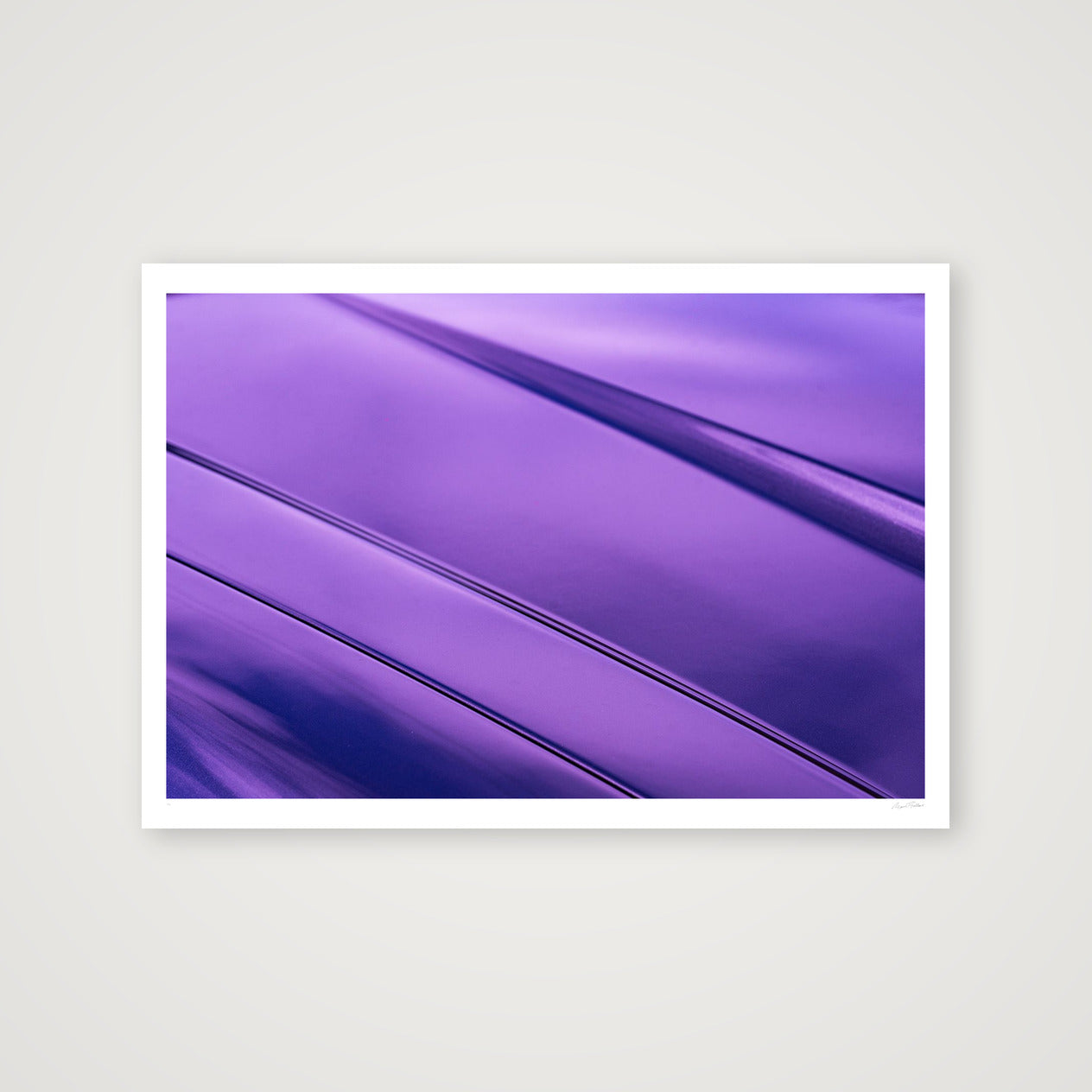 The Silk Cat — 100×70cm, 39×28" Print only