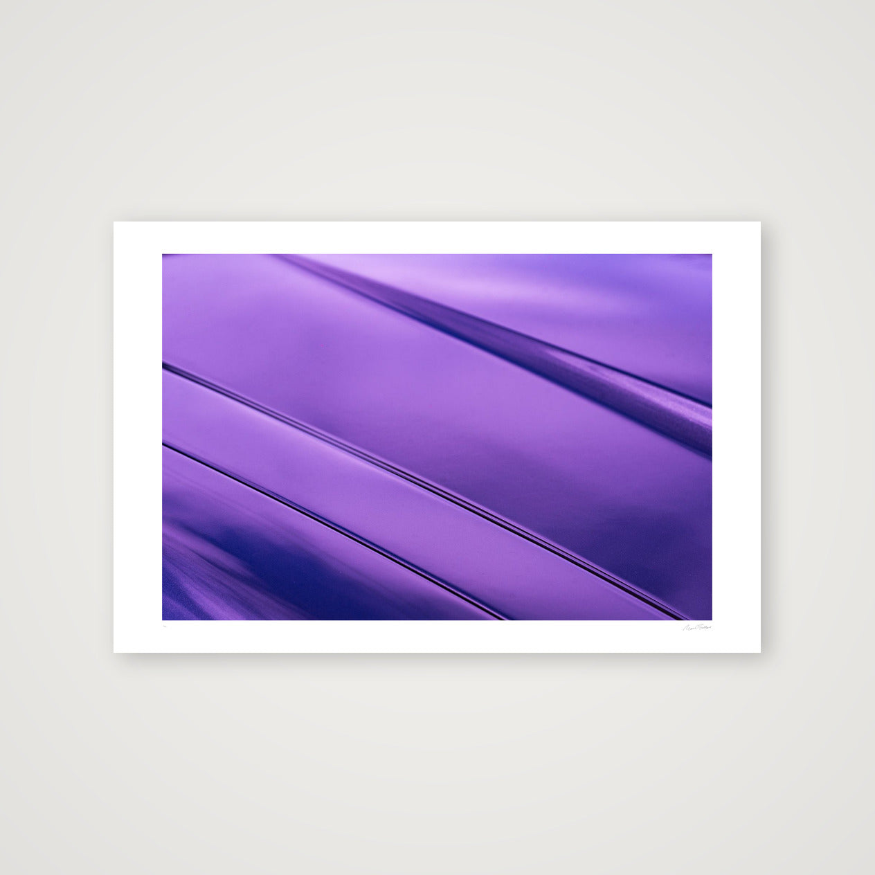 The Silk Cat — 60×40cm, 24×16" Print only