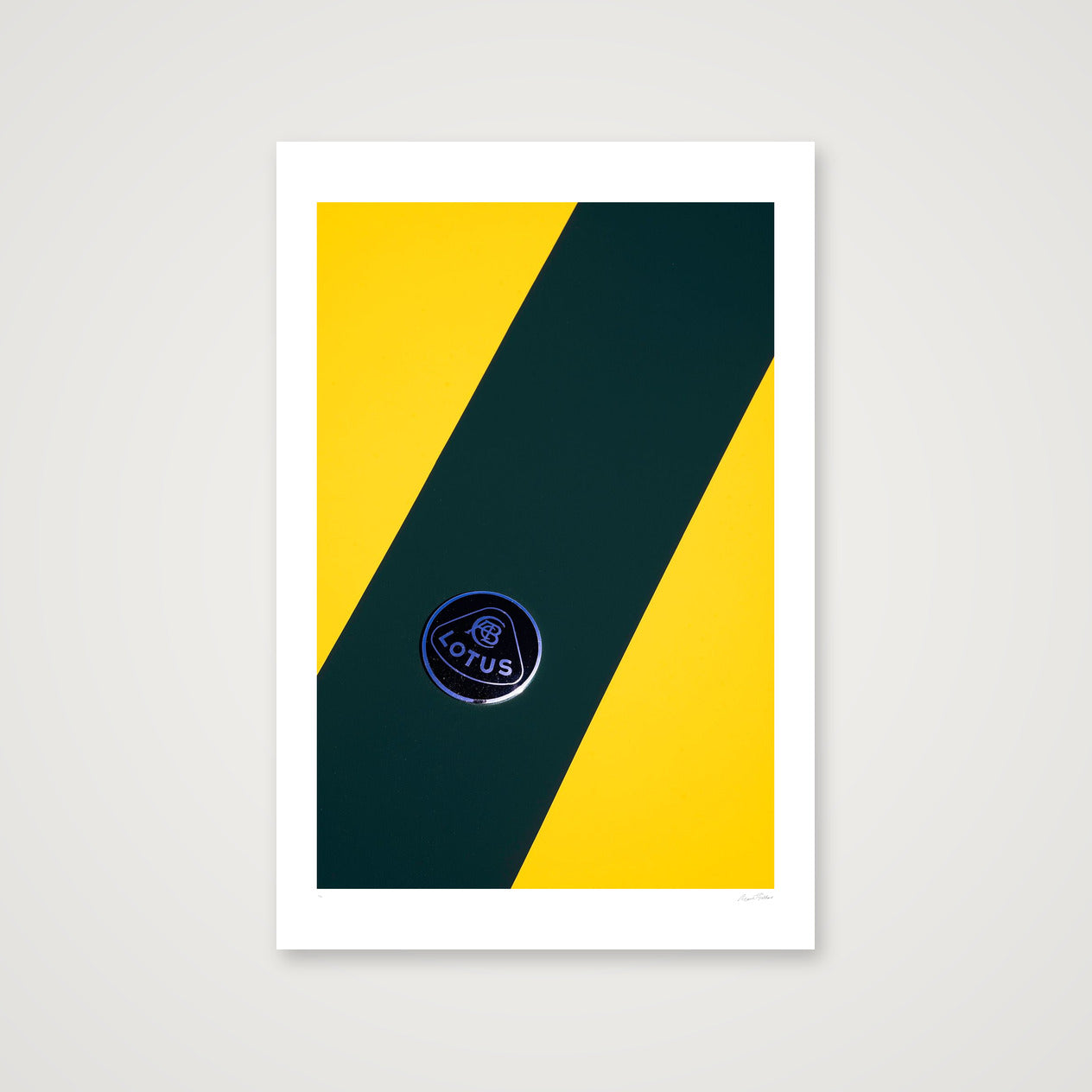 The Bee Careful  — 40×60cm, 16×24" Print only
