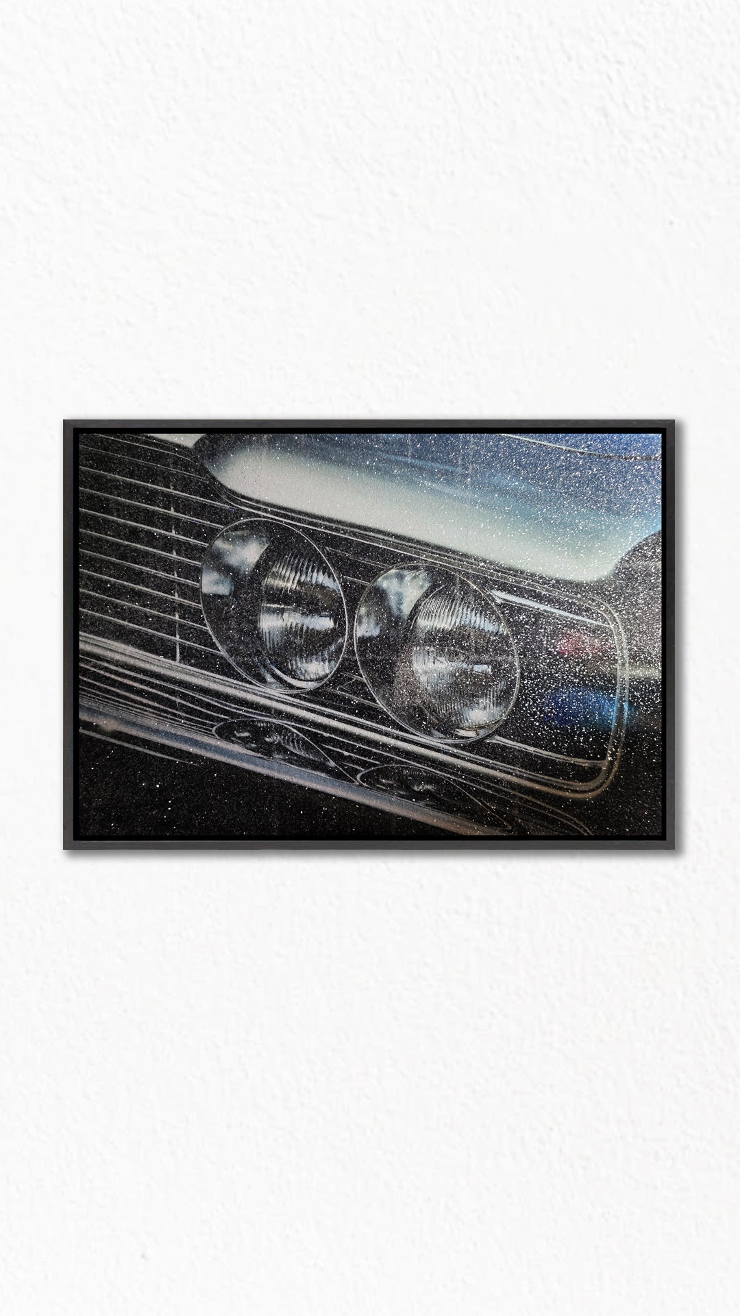 Lights of a Thoroughbred