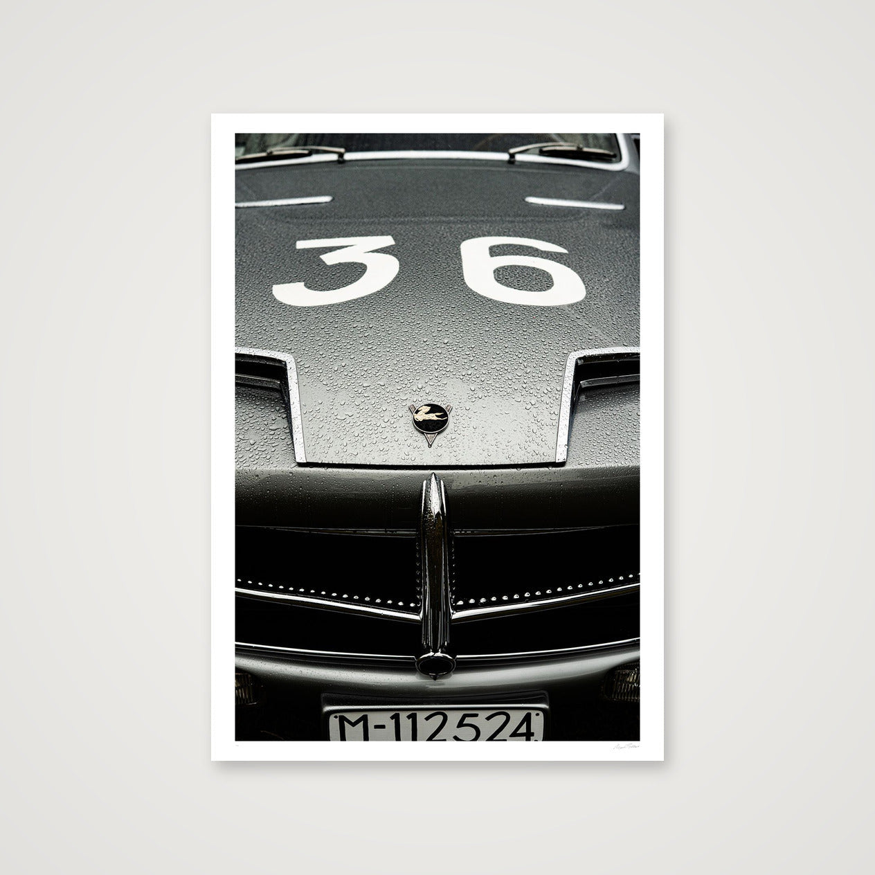 Silver Flying Horse — 70×100cm, 28×39" Print only