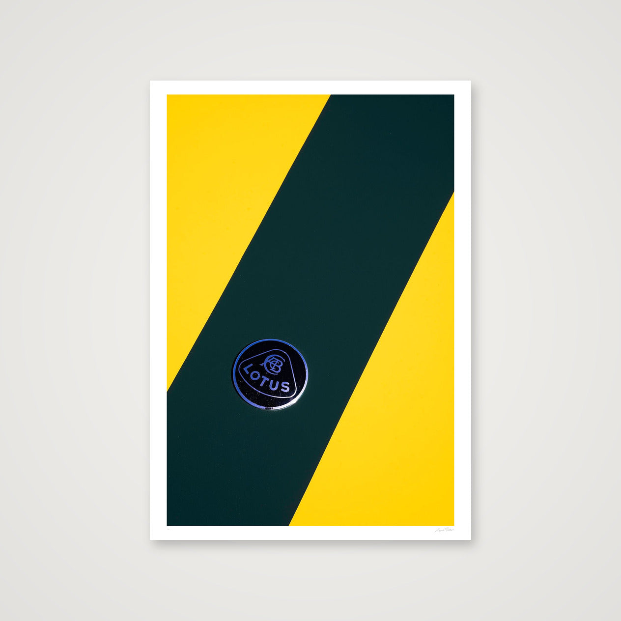 The Bee Careful  — 70×100cm, 28×39" Print only