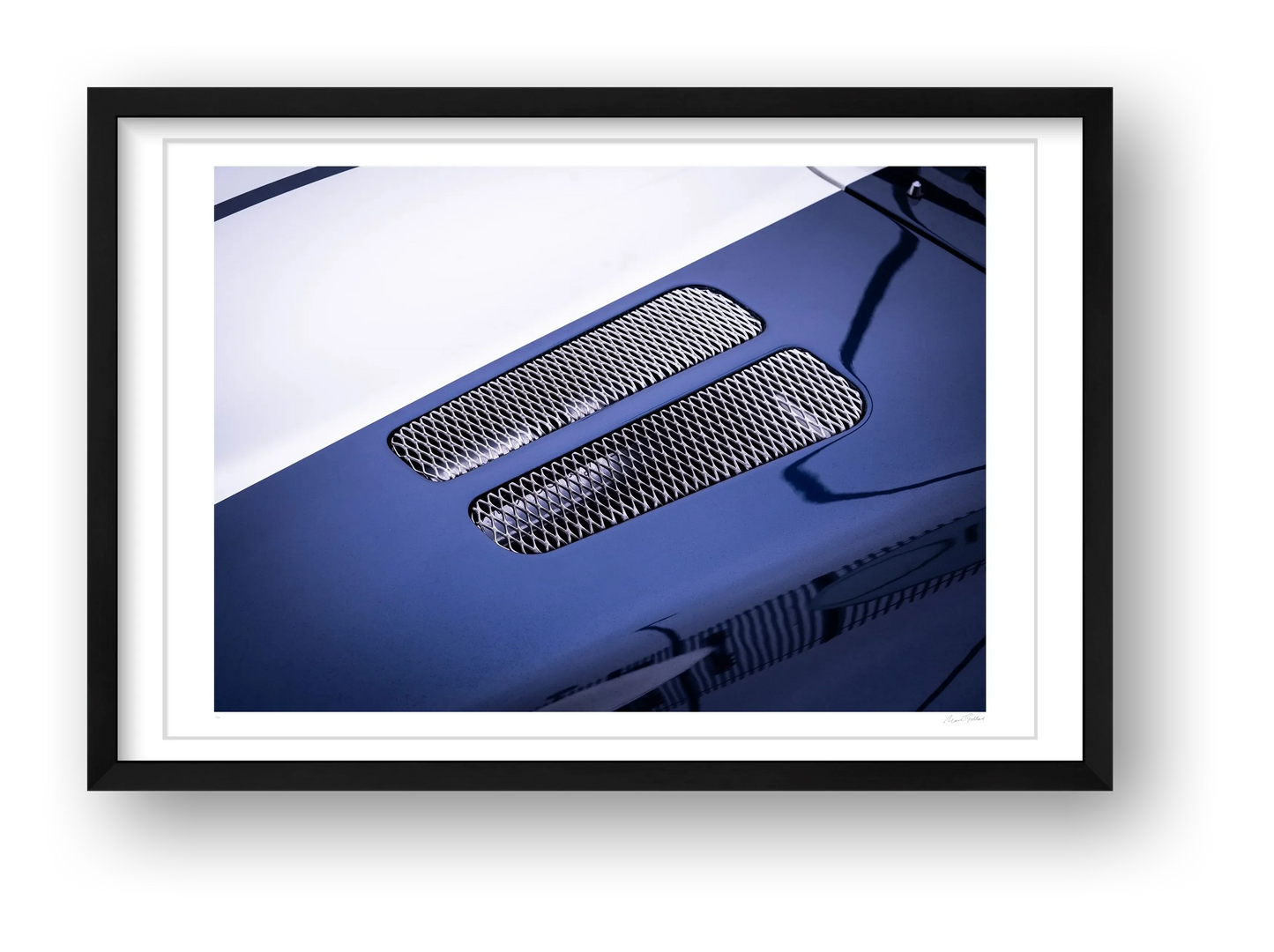 Blue Venom — framed