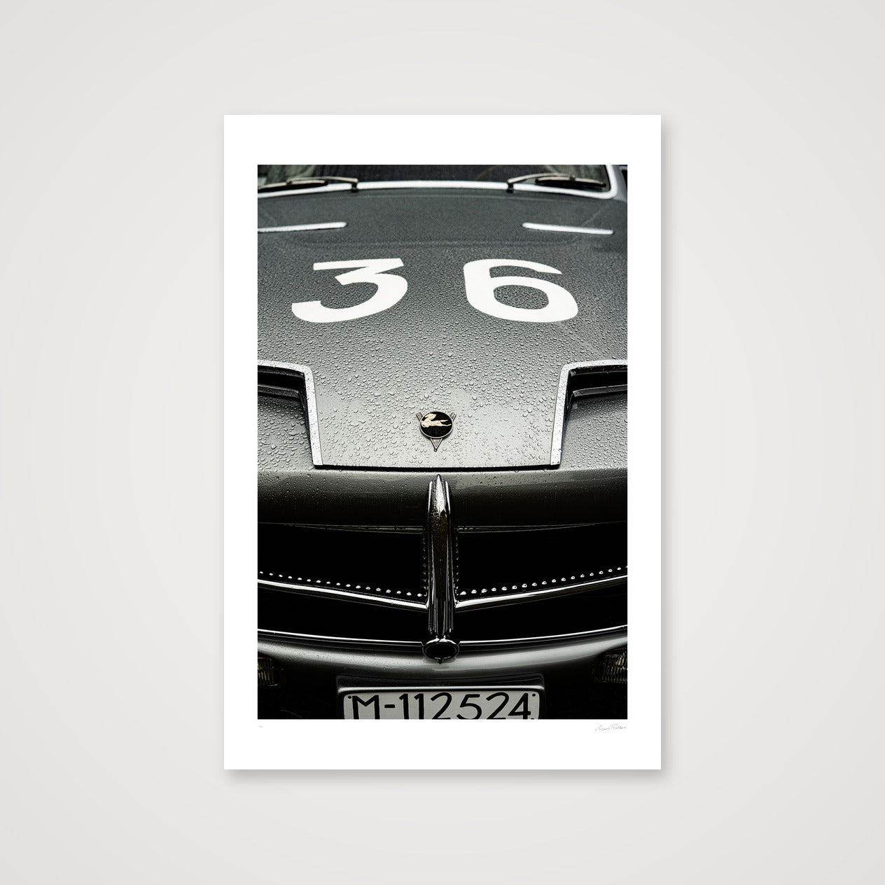 Silver Flying Horse — 30×45cm, 12×18" Print only