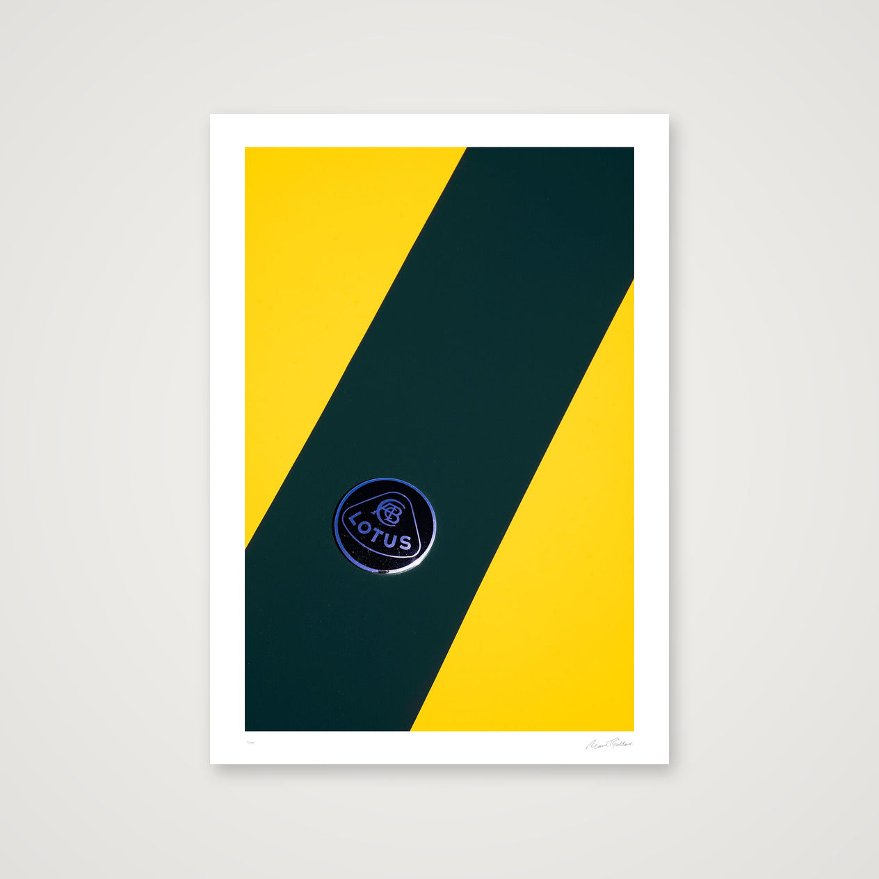 The Bee Careful  — A4 (21×30cm, 8×12") Print only