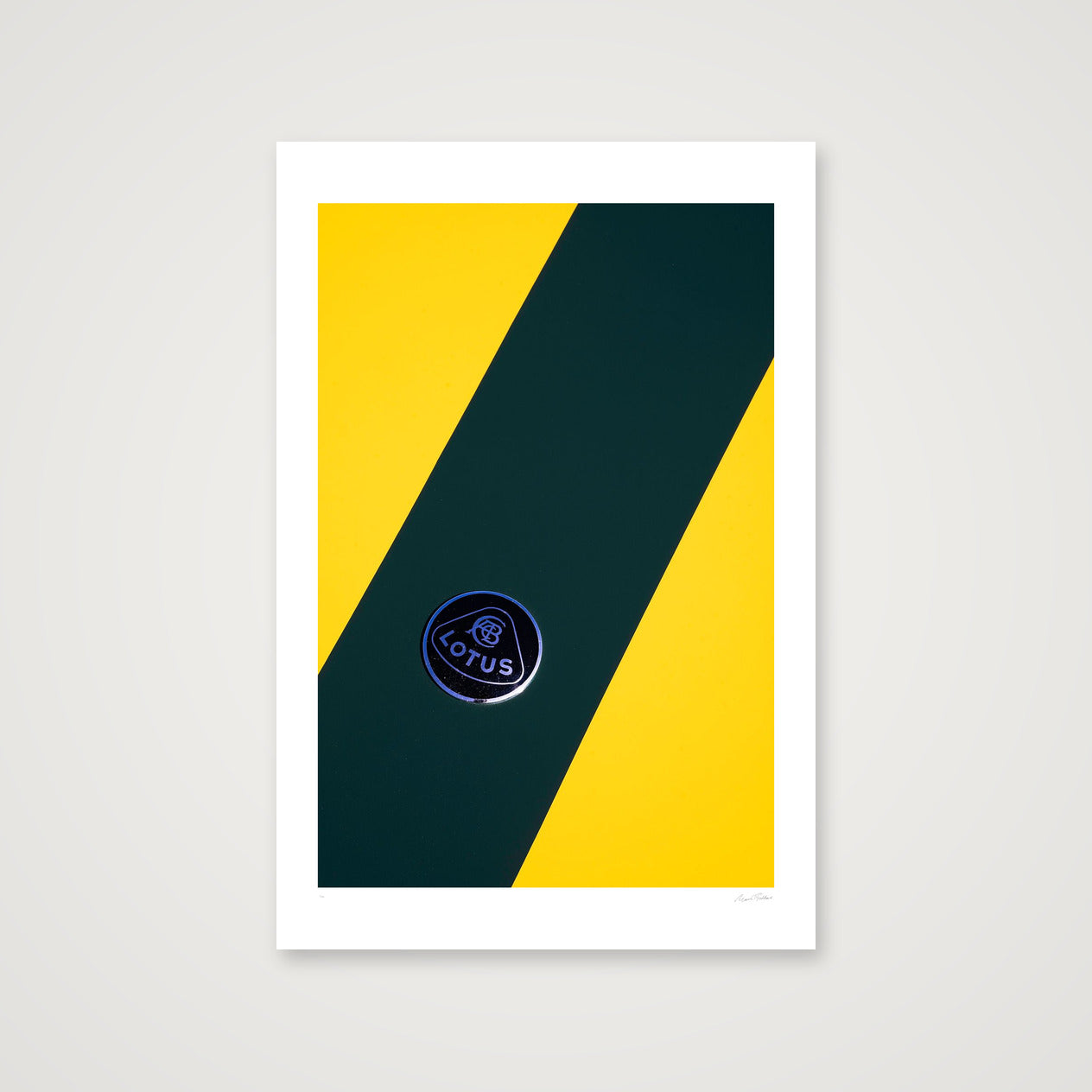 The Bee Careful  — 30×45cm, 12×18" Print only